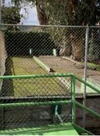 photo1